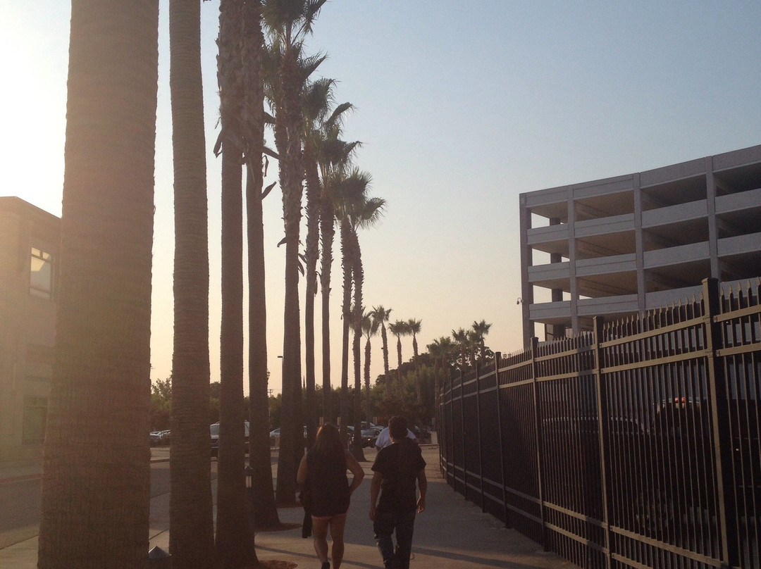 Banner Island Ballpark-斯托克顿必去景点