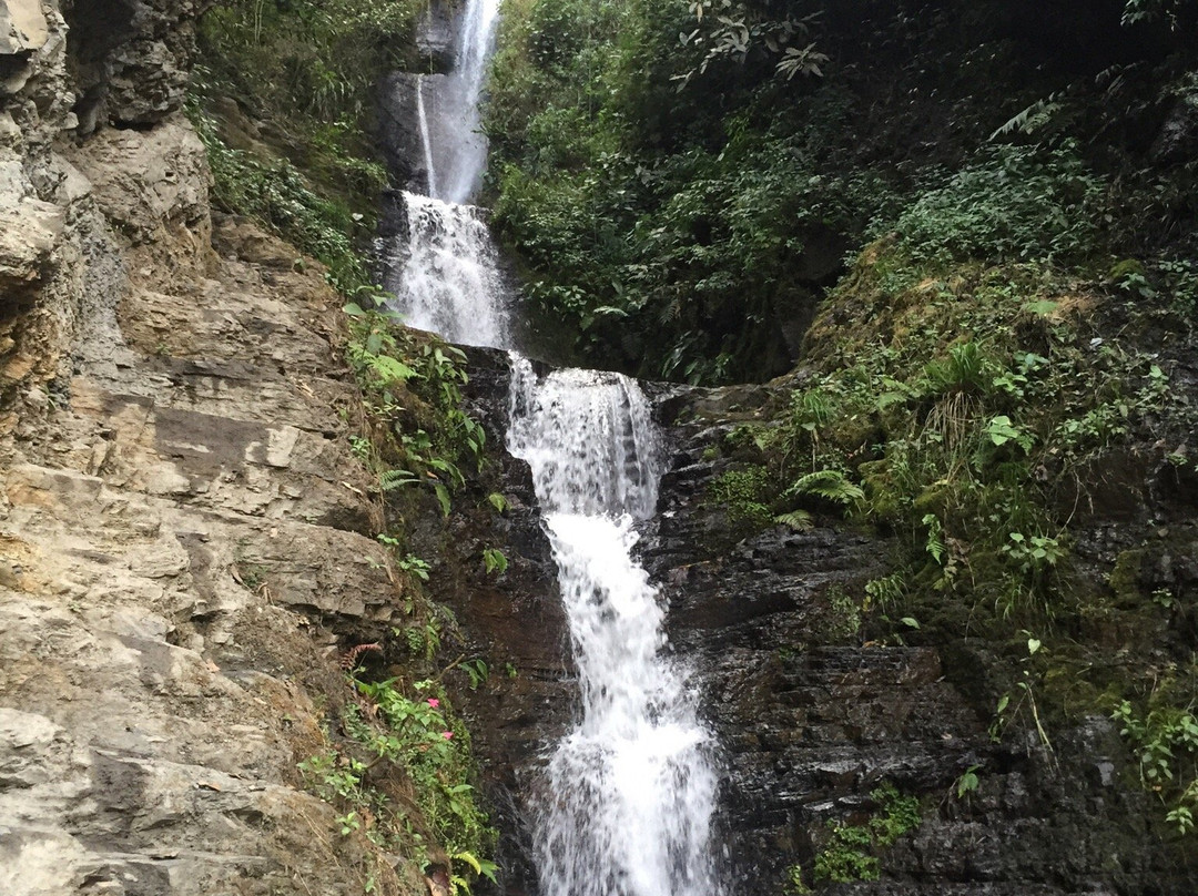 Coroico旅游攻略图片