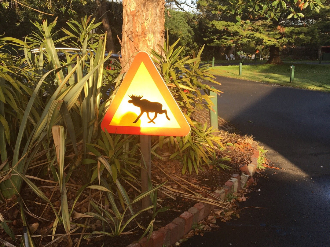 The Swedish Church in Melbourne-图拉克必去景点