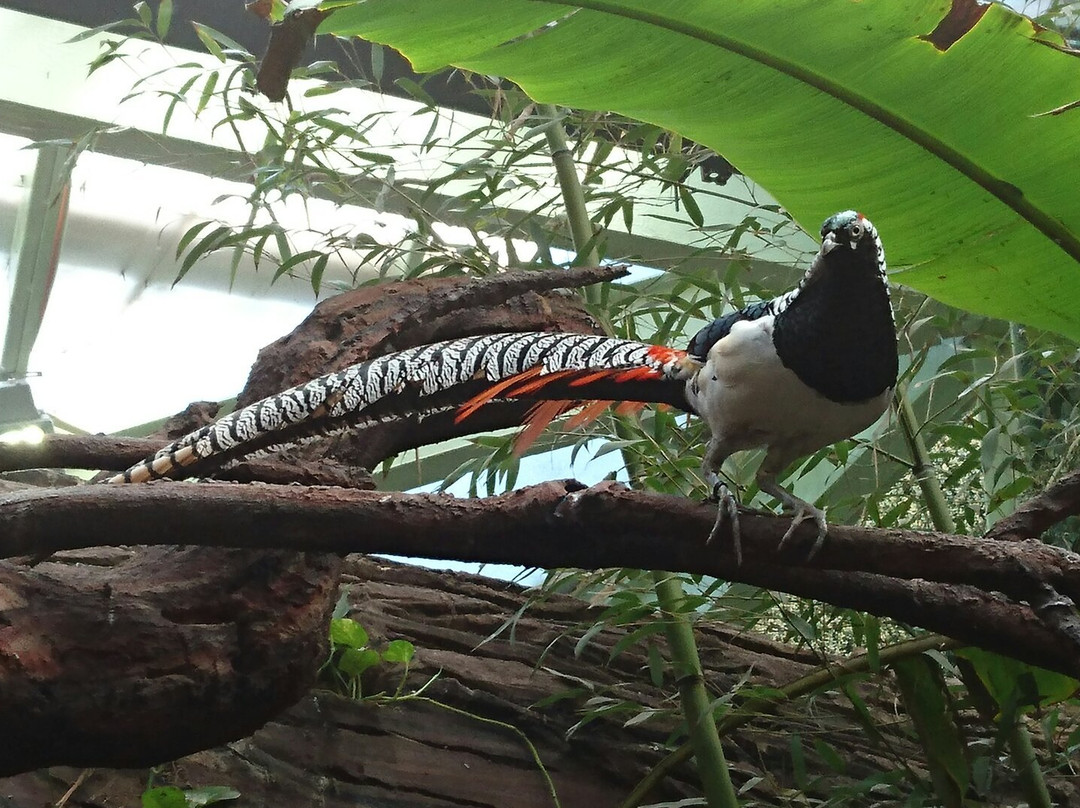 Selva Viva-圣地亚哥必去景点