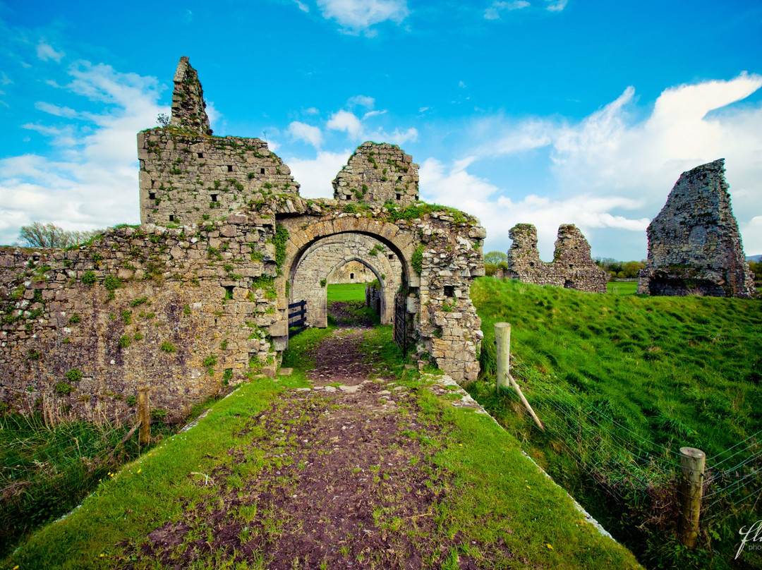 蒂珀雷里旅游景点-Athassel Priory