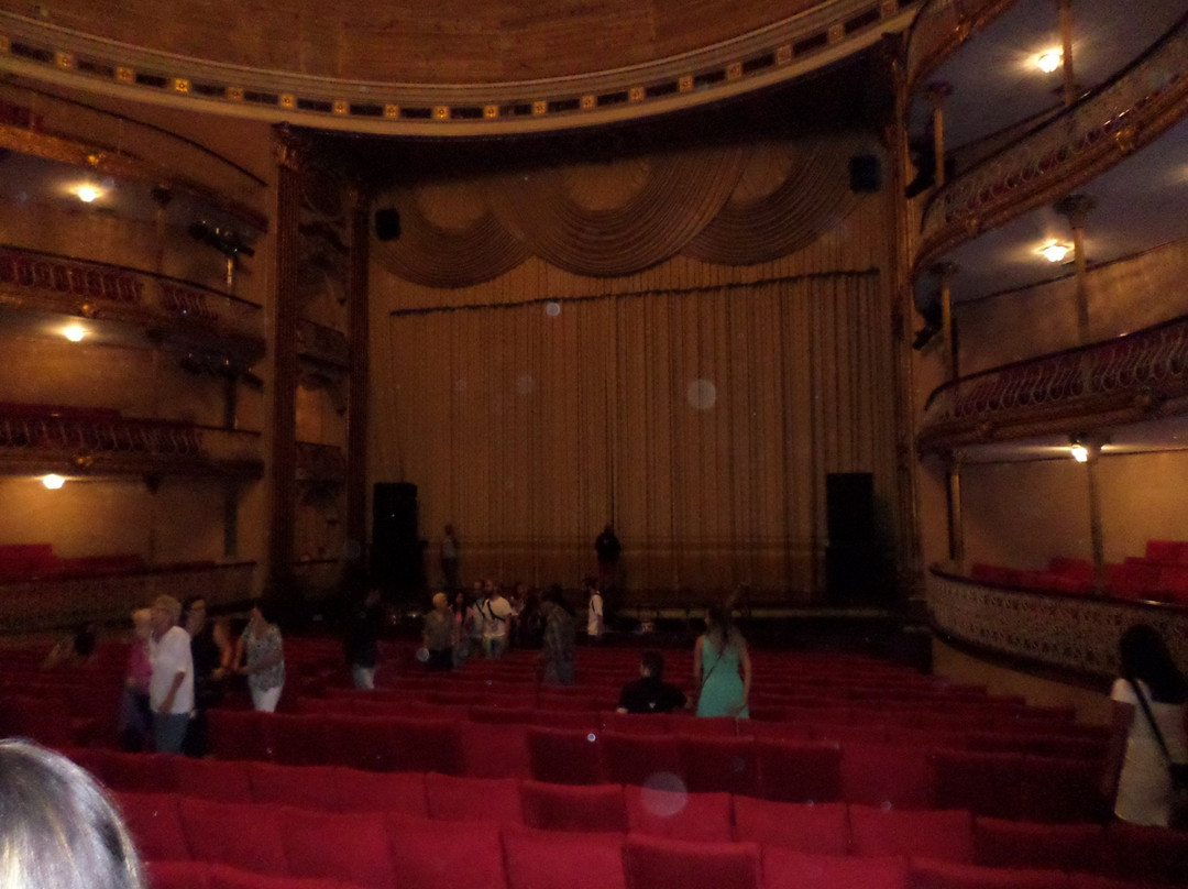 Teatro Municipal de Caracas景点图片