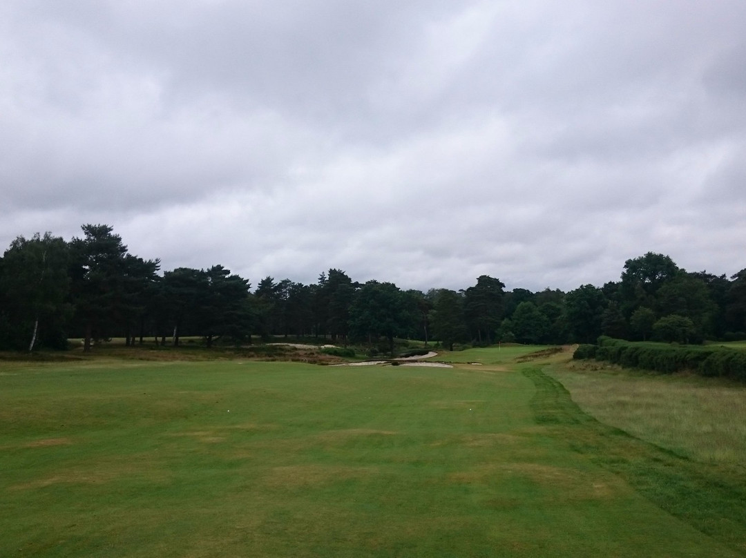West Sussex Golf Club景点图片