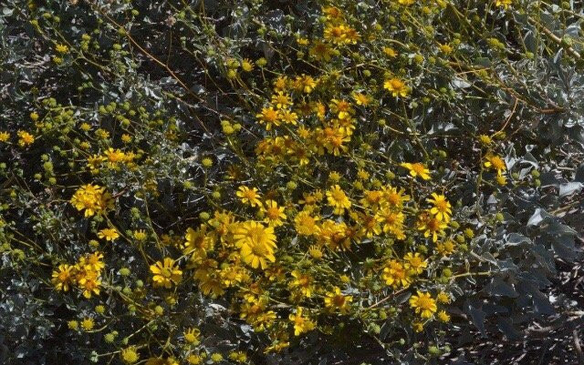 Chandler Nature Center-钱德勒必去景点
