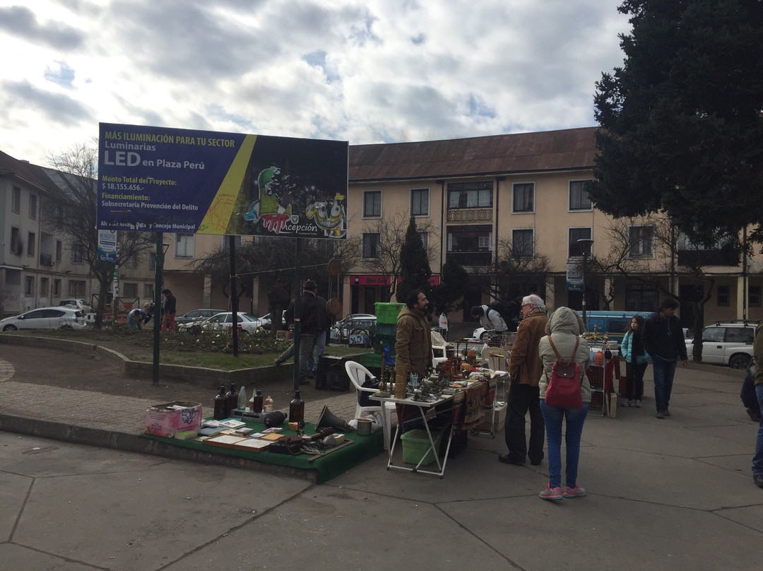 Plaza Peru-康塞普西翁必去景点