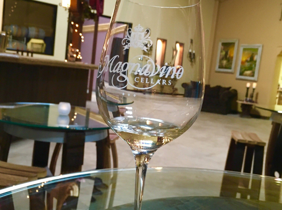 Magnavino Cellars-奥克斯纳德必去景点