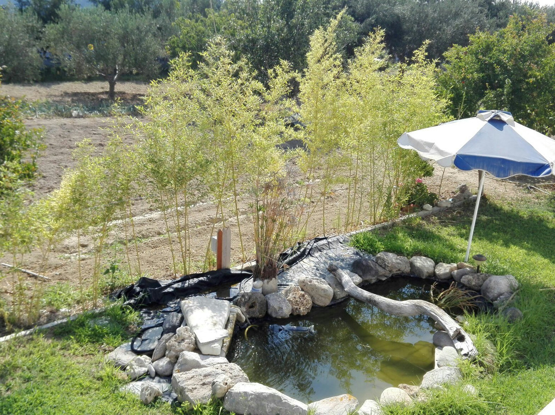 Hotel Level House