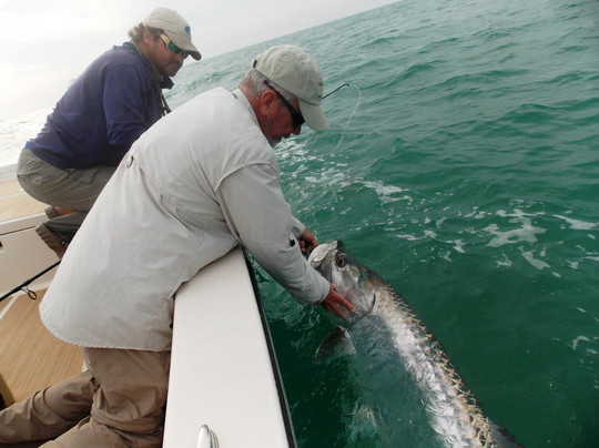 Sea Reed Charters-迈尔斯堡必去景点