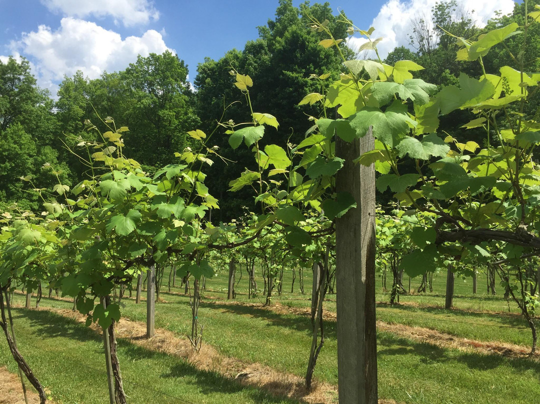 Three Oaks Vineyard, LLC-格兰维尔必去景点