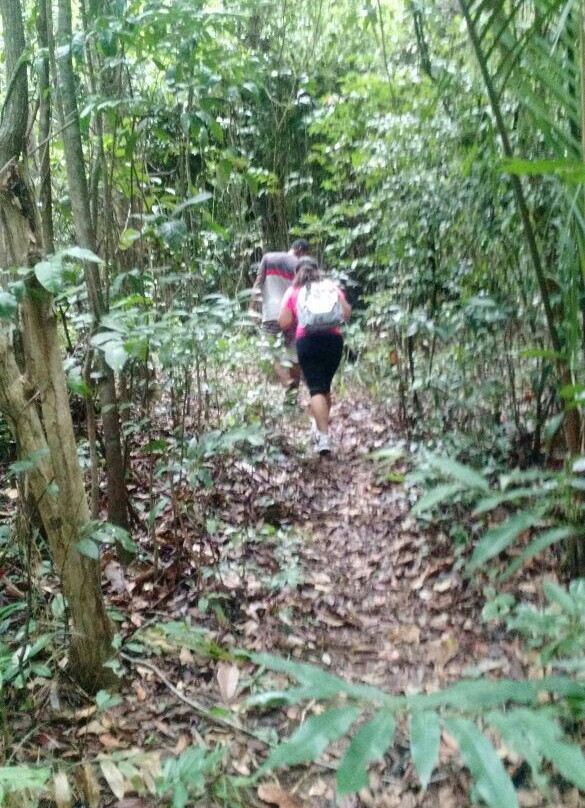 Trilha do Visgueiro-Maragogi必去景点