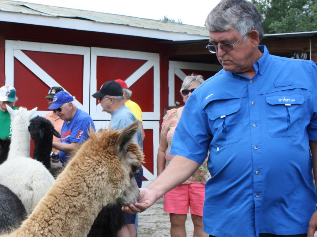 STARanch Alpaca Trek-Alva必去景点