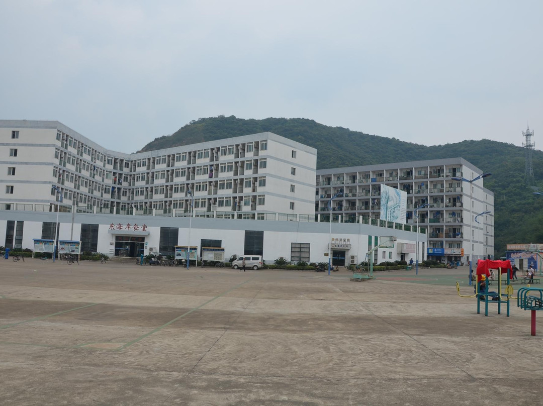 舟山普陀蚂蚁岛-舟山市必去景点