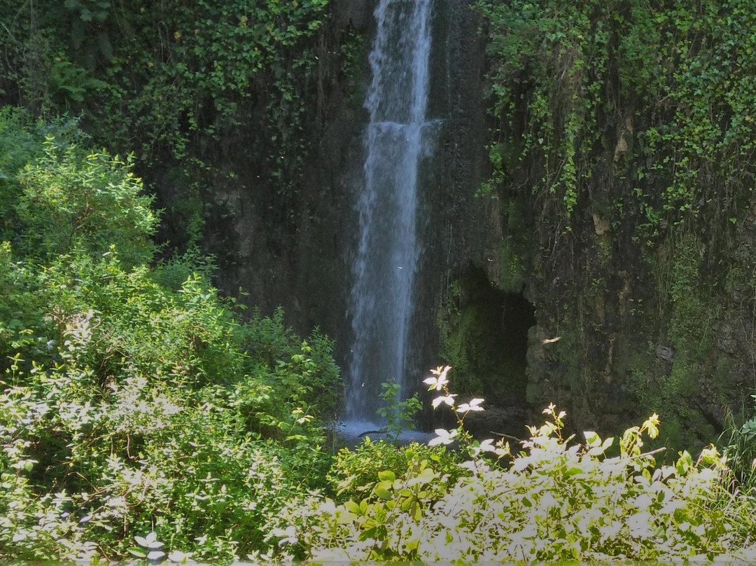 Barritteri旅游攻略图片