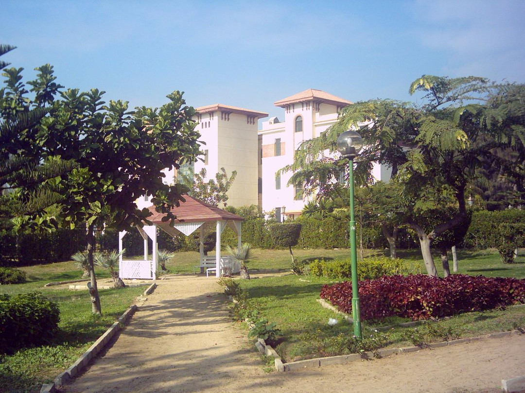 Al Muntaza Mosque-亚历山大必去景点