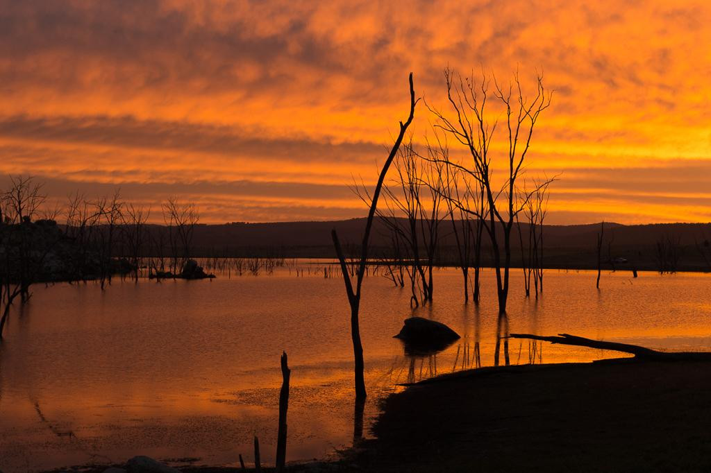 Copeton Waters State Park景点图片