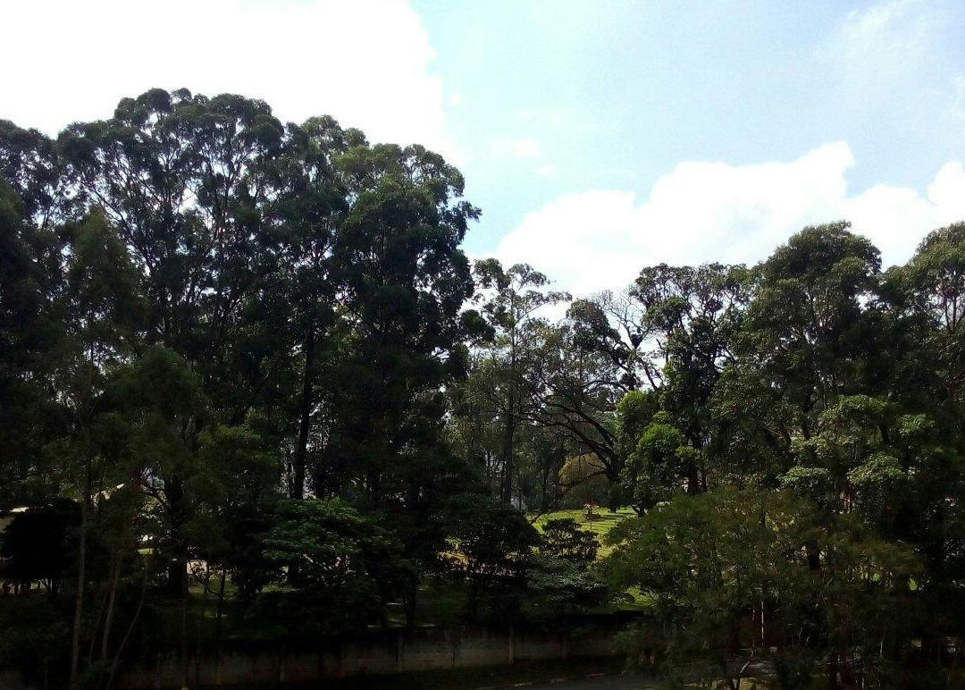 Chácara Silvestre-圣贝尔纳多-杜坎普必去景点