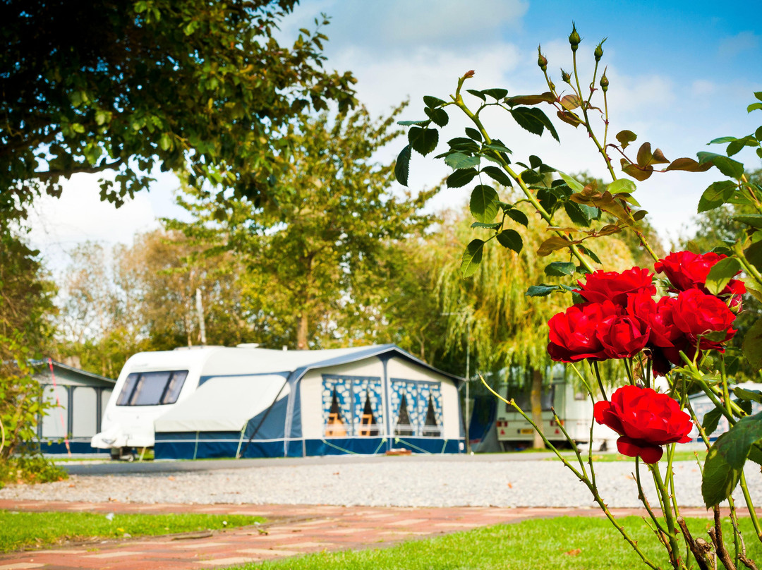 Vale of Pickering Caravan Park