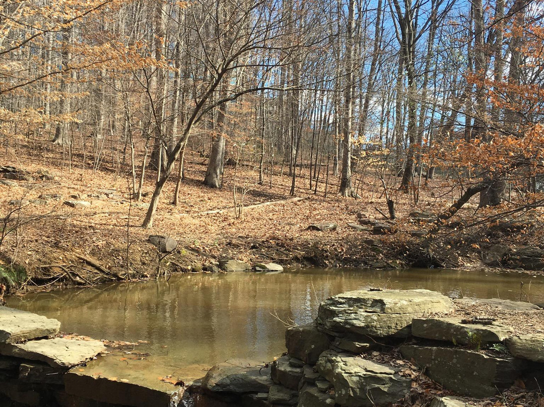 Winkler Botanical Preserve-亚历山德里亚必去景点