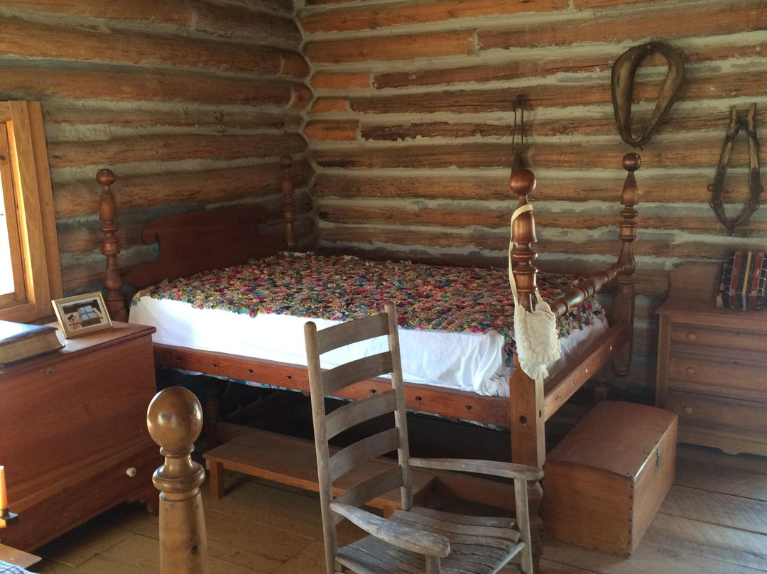 Mrs. Lee's Daffodil Garden-Gladewater必去景点