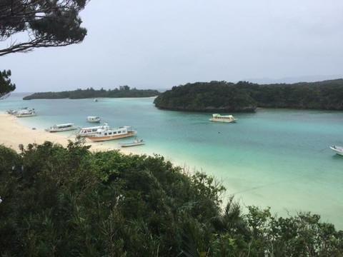 Ishigaki Island Sightseeing Bus (Azuma Bus)-石垣市必去景点