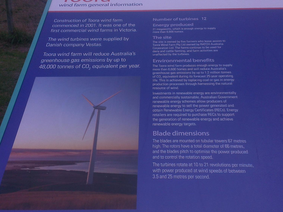 Toora Wind Farm-Toora必去景点