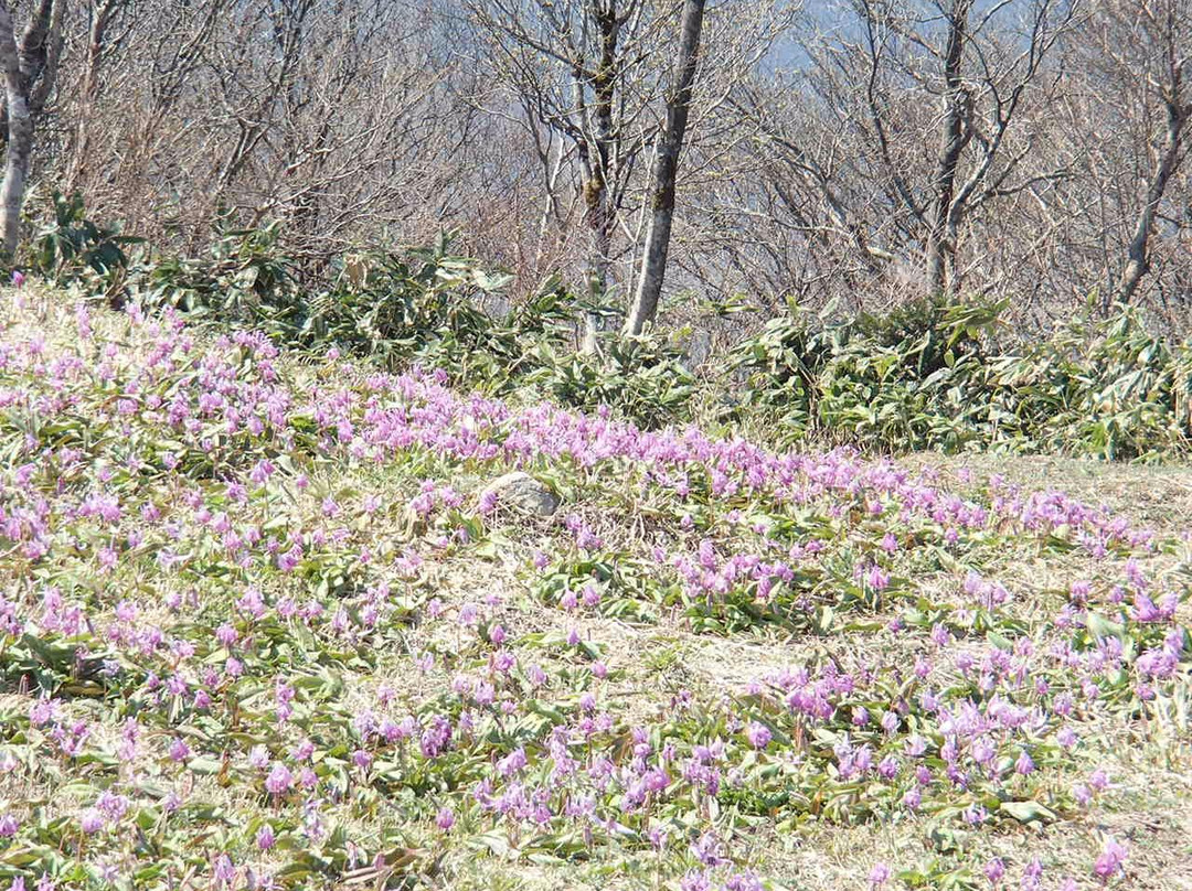 Mt. Sentsu-奥出云町必去景点