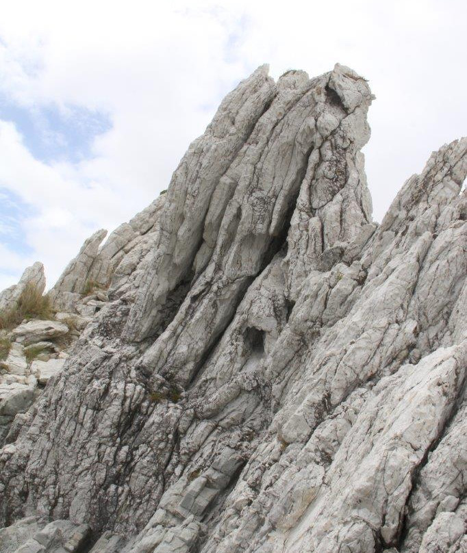 White Rock景点图片