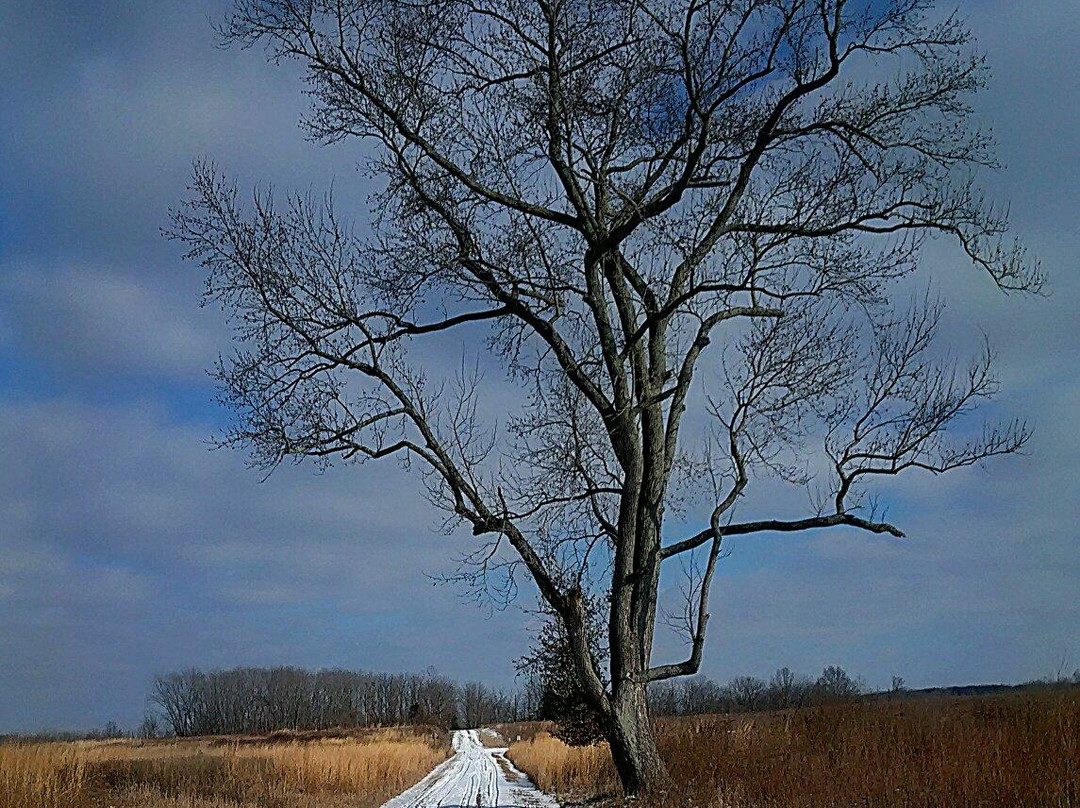Muscatatuck National Wildlife Refuge-Seymour必去景点