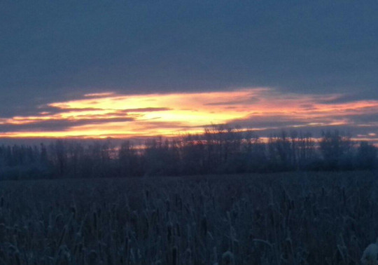 Sunset Lake Park-Wembley必去景点