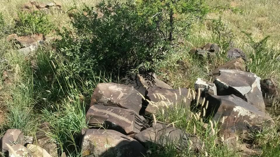 Wildebeest Kuil Rock Art Centre-金伯利必去景点