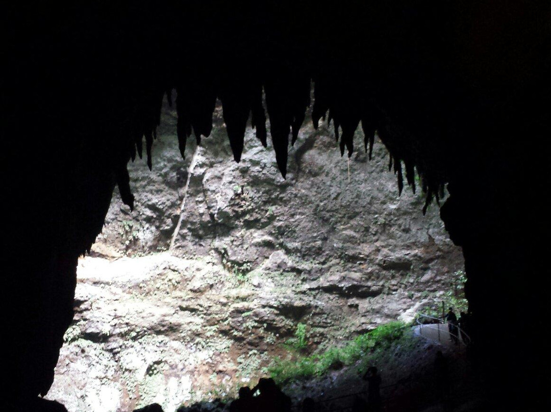 Clara Cave (Cueva Clara)景点图片