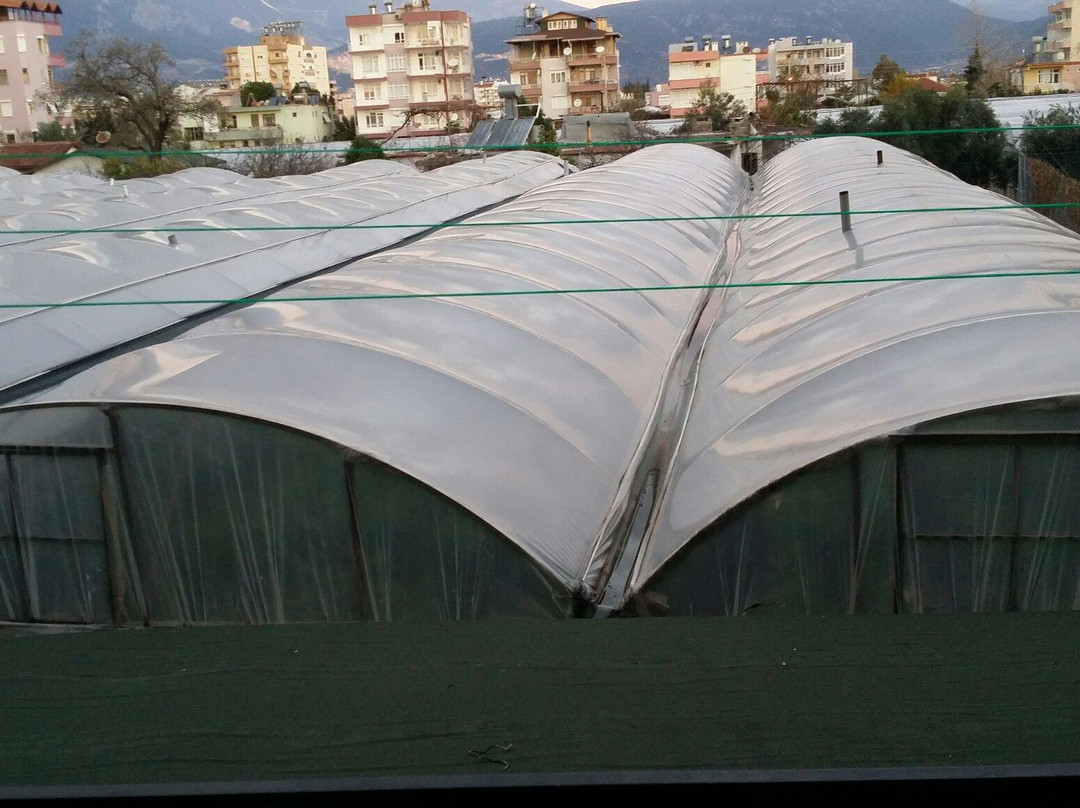 Deniz Hotel