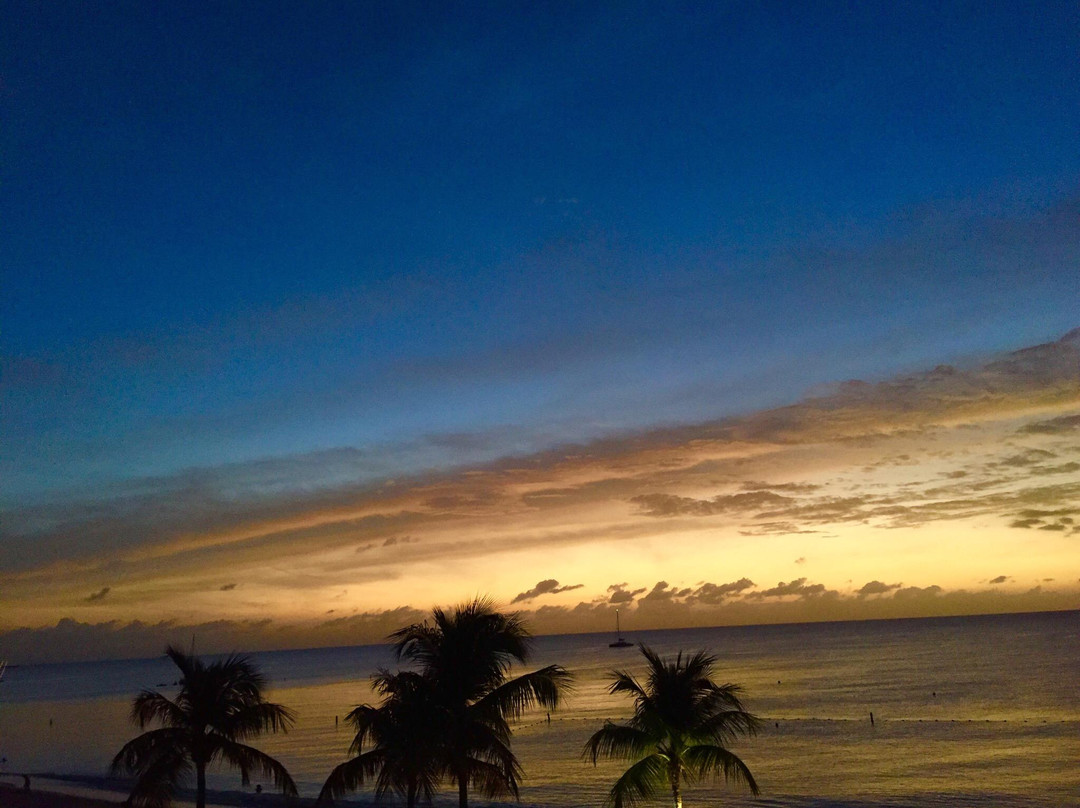 Island Company-大开曼岛必去景点