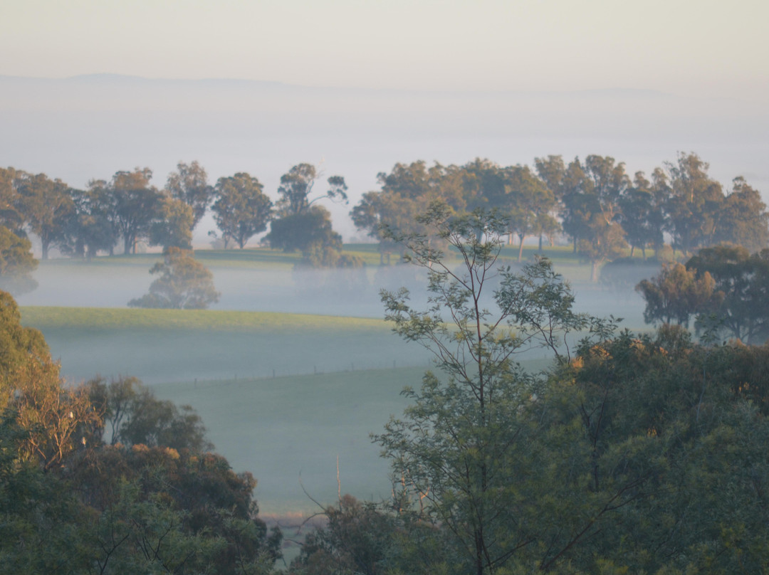 Wood Park Wines Cellar Door-Milawa必去景点