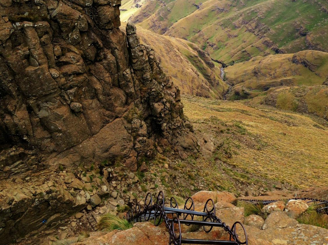 Dragons' Van - Day Tours-柏维必去景点