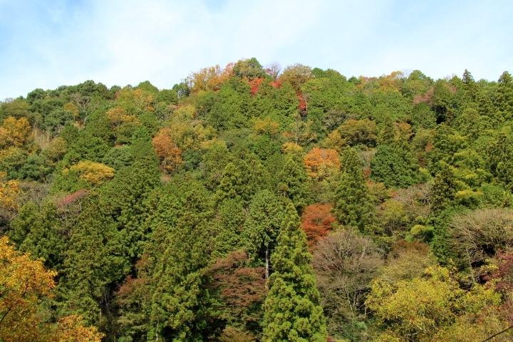 Mt. Iimori-丰田市必去景点