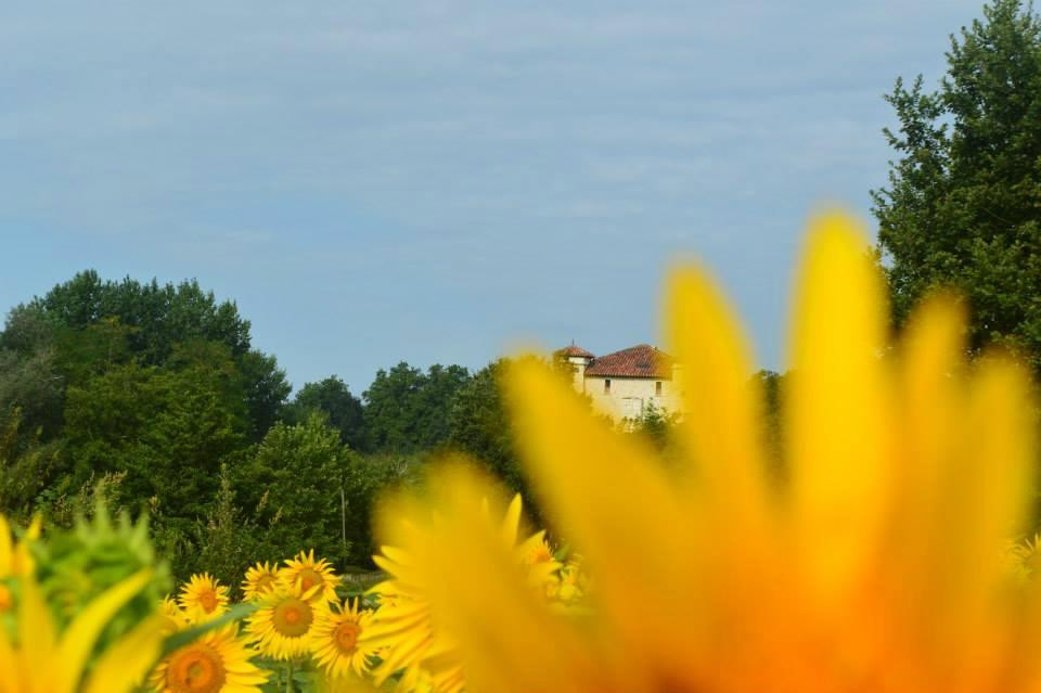 Domaine de Herrebouc景点图片