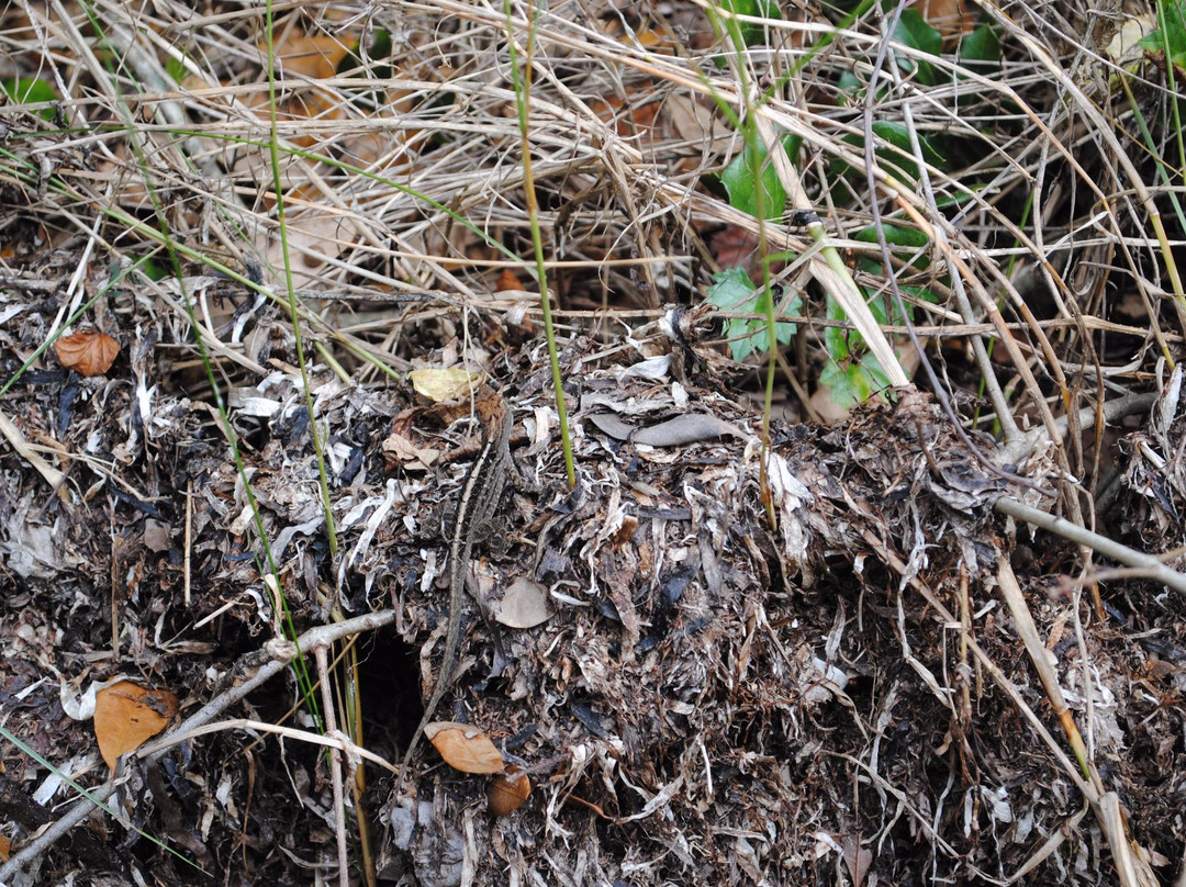 Key Vista Nature Park-Holiday必去景点