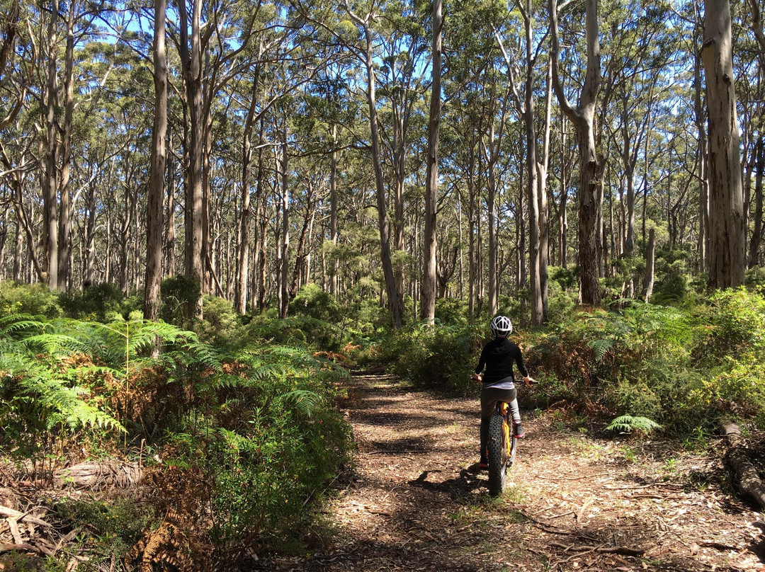 Margaret River Adventure Co.