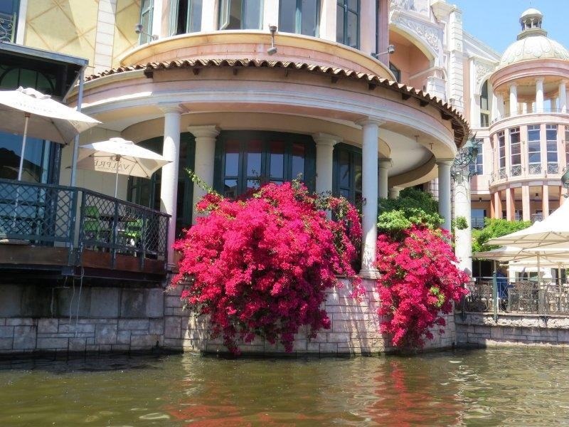 Intaka Island-开普敦中心区必去景点