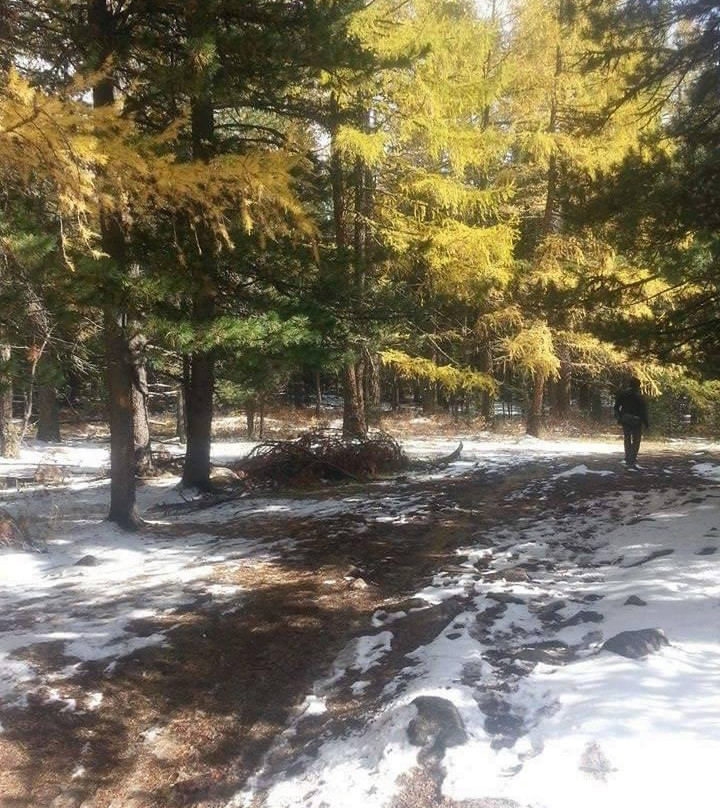 Bogd Khan Uul National Park-乌兰巴托必去景点