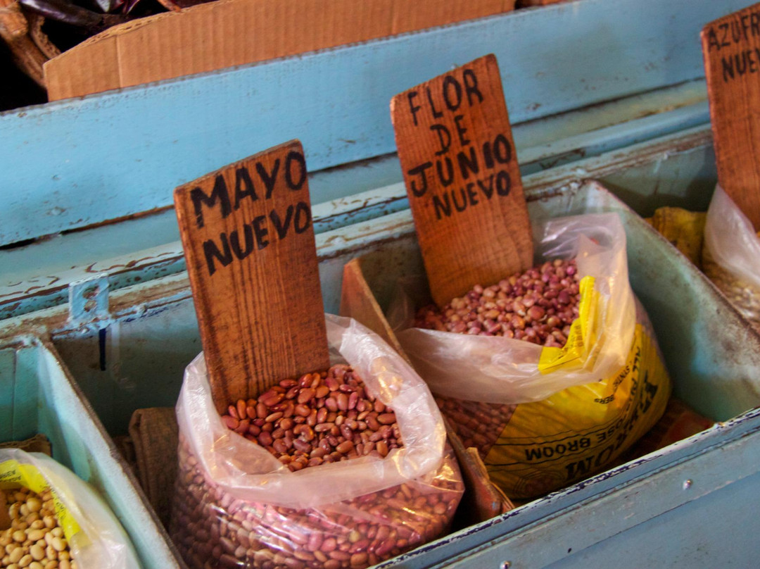 Mexican Food Tours-Tlaquepaque必去景点