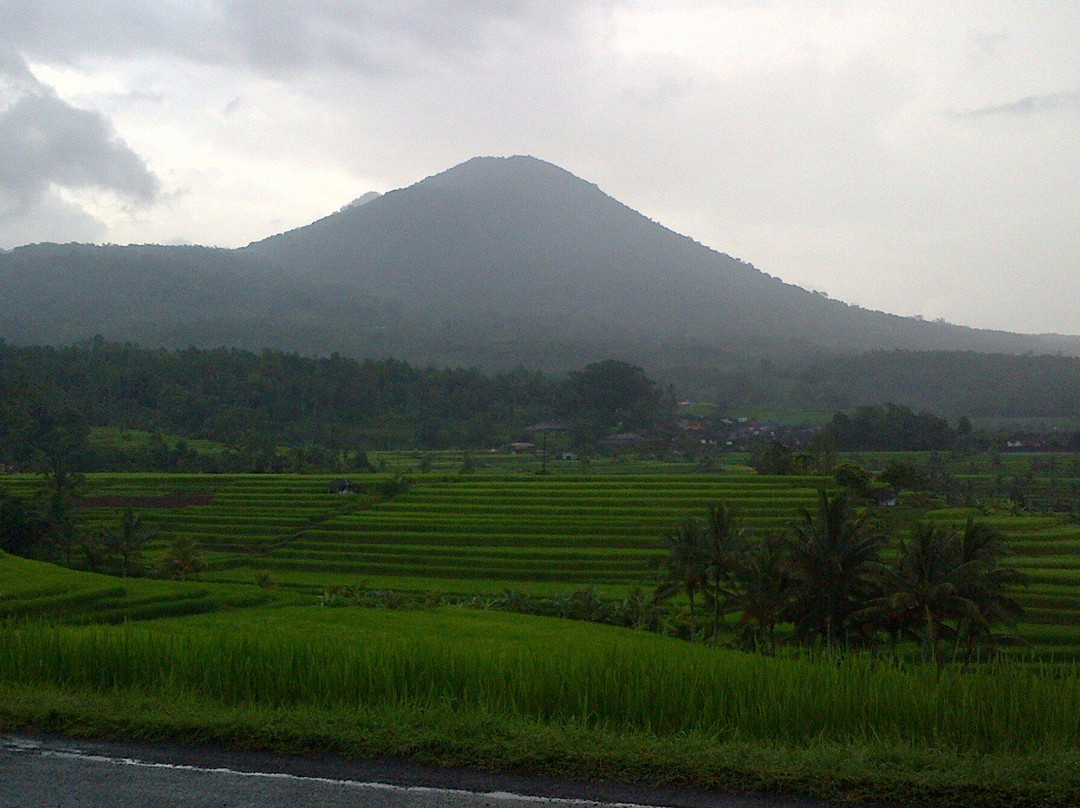 Junas Bali Tour - Day Tours景点图片