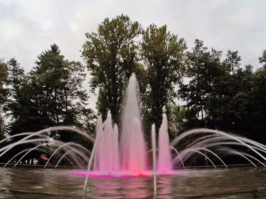 T. Shevchenko Park-Ternopil必去景点
