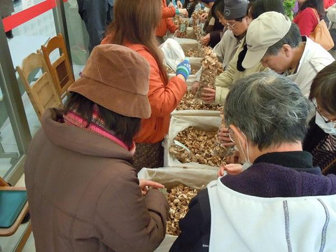 Yunohana Island-可儿市必去景点