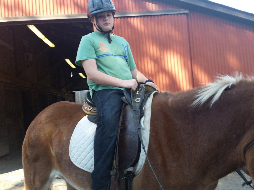 My Saddle Brook Farm-Walden必去景点