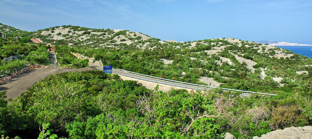 Grifon景点图片