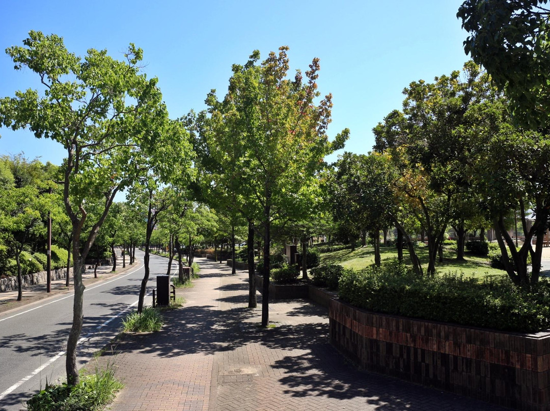 Momochi Central Park-福冈市必去景点