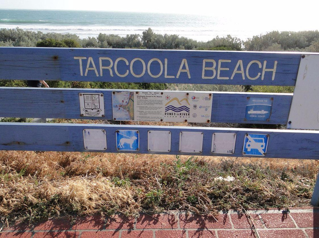 Tarcoola Beach-杰拉尔顿必去景点