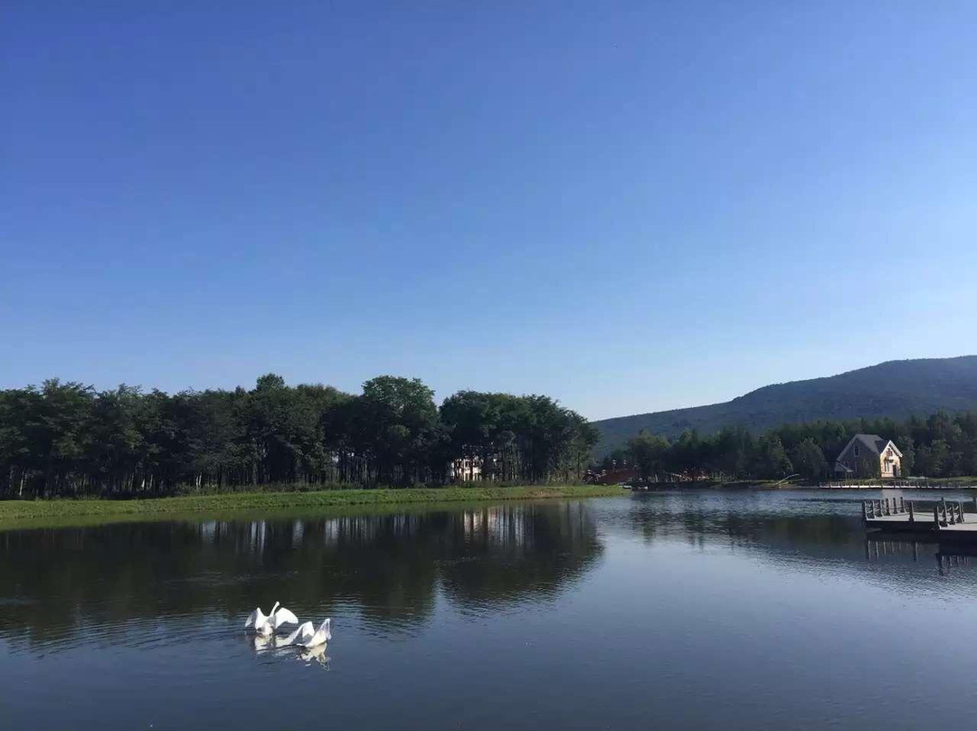 宝宇龙花温泉酒店主图